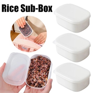 Quantitative Small Lunch Box Refrigerator Coarse Grain Rice Sub Packaged  Frozen Box Food Grade Storage Fresh-keeping Sealed Box