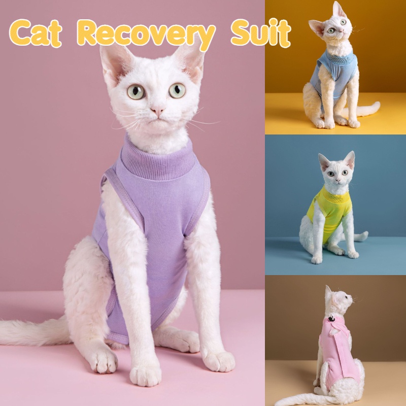 【COD】 Cat Recovery Suit Jumpsuit Sterilization Care Cat Weaning Suit ...