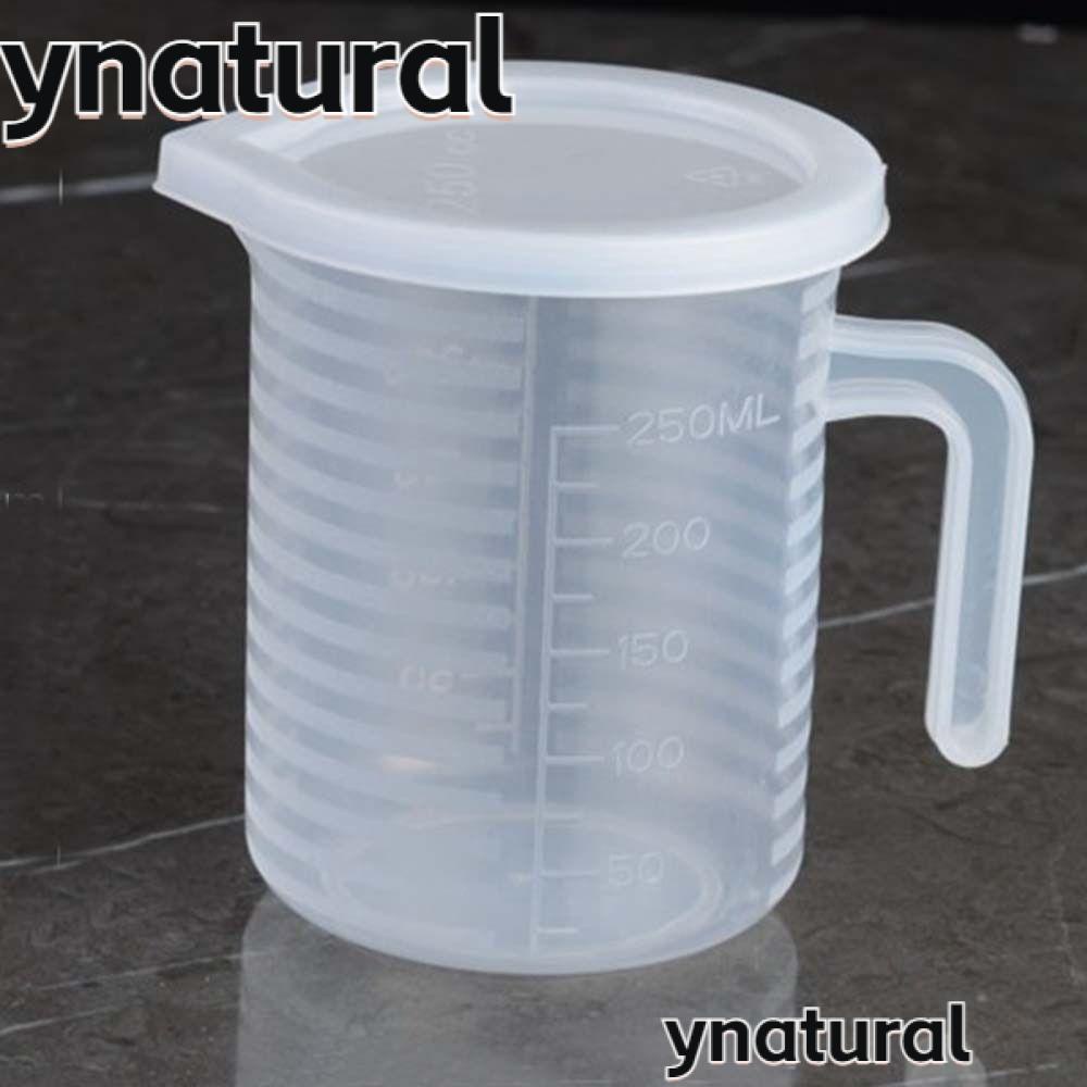 2pcs Measuring Cup With Scale To Measure Pp Cup Plastic Experimental 1000ml