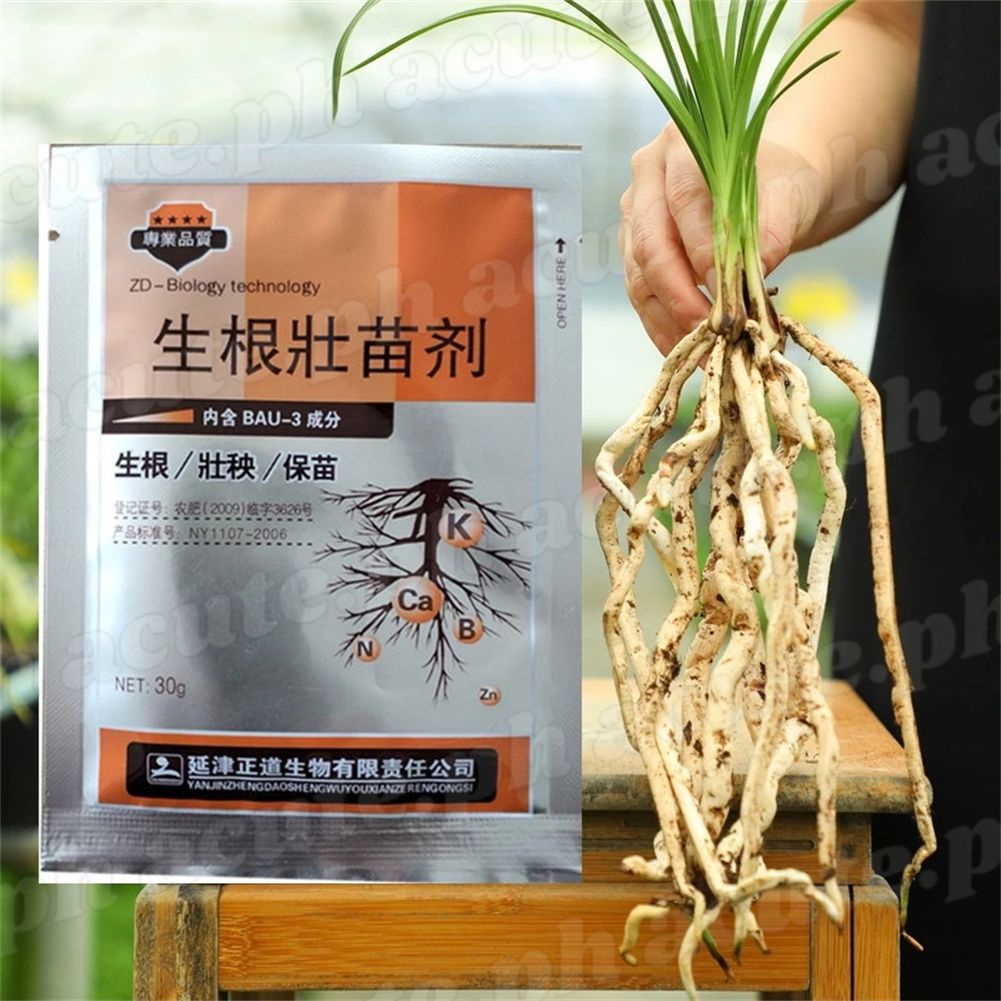 Rapid Rooting Powder Plant Growth Powder Rooting Powder Rapid Growth No