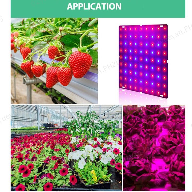 5 Types Phyto Lamp Kit LED Plant Grow Light Indoor Growing Tent Full ...