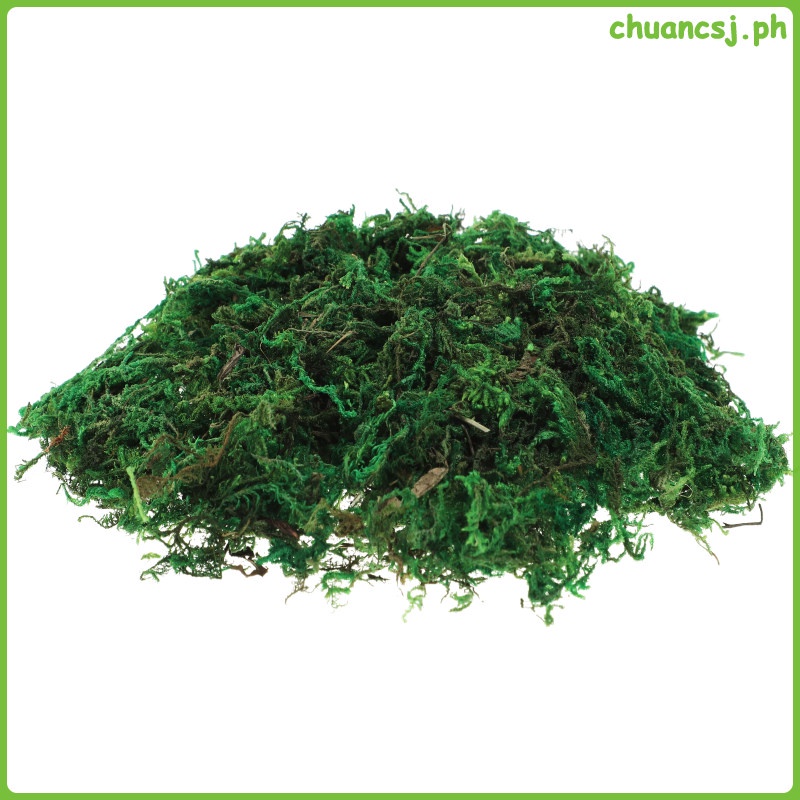 plants moss for hanging baskets artificial moss dried moss terrarium