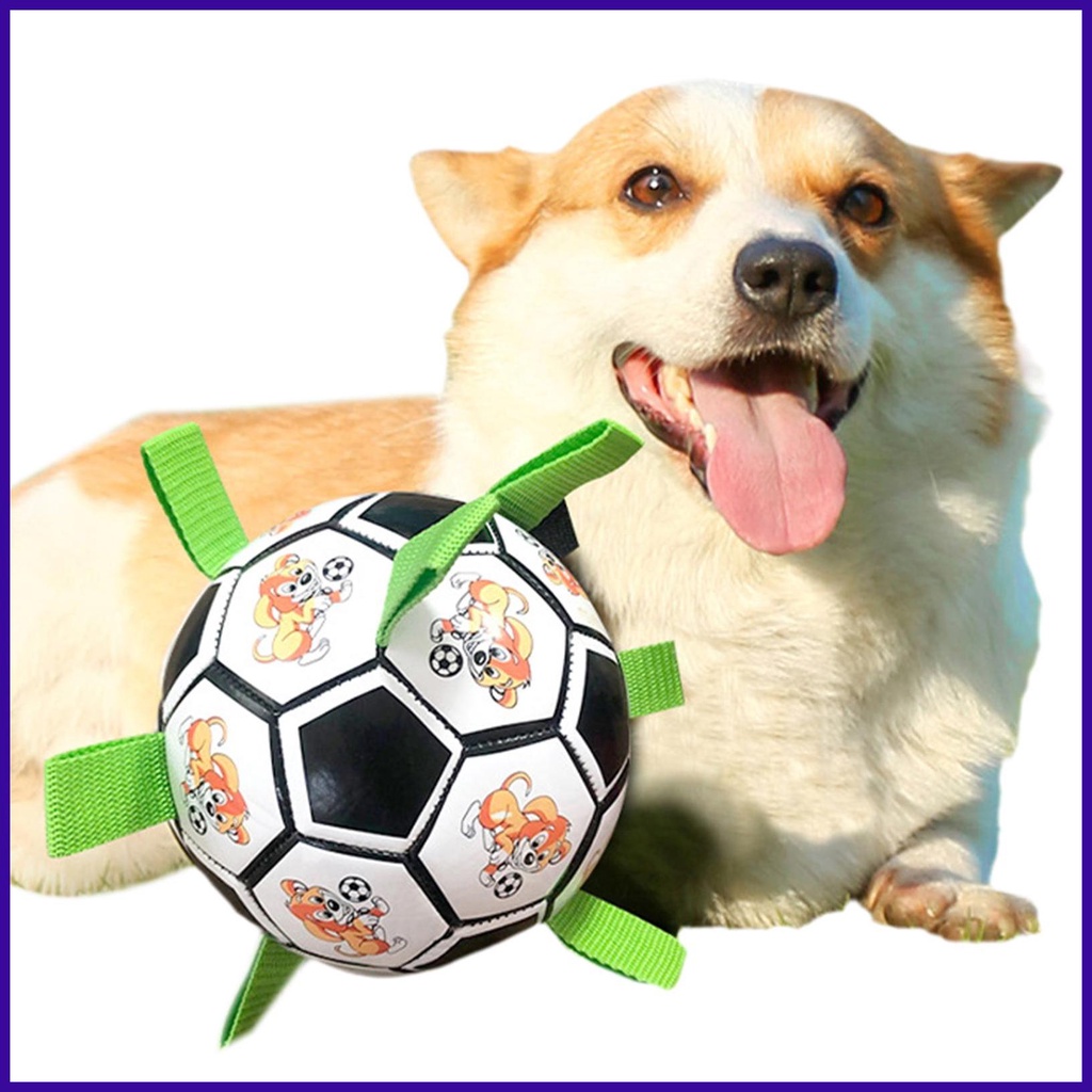 Dog Toy Interactive Dog balls Molar Relieve Boredom Dog Toys for Tug