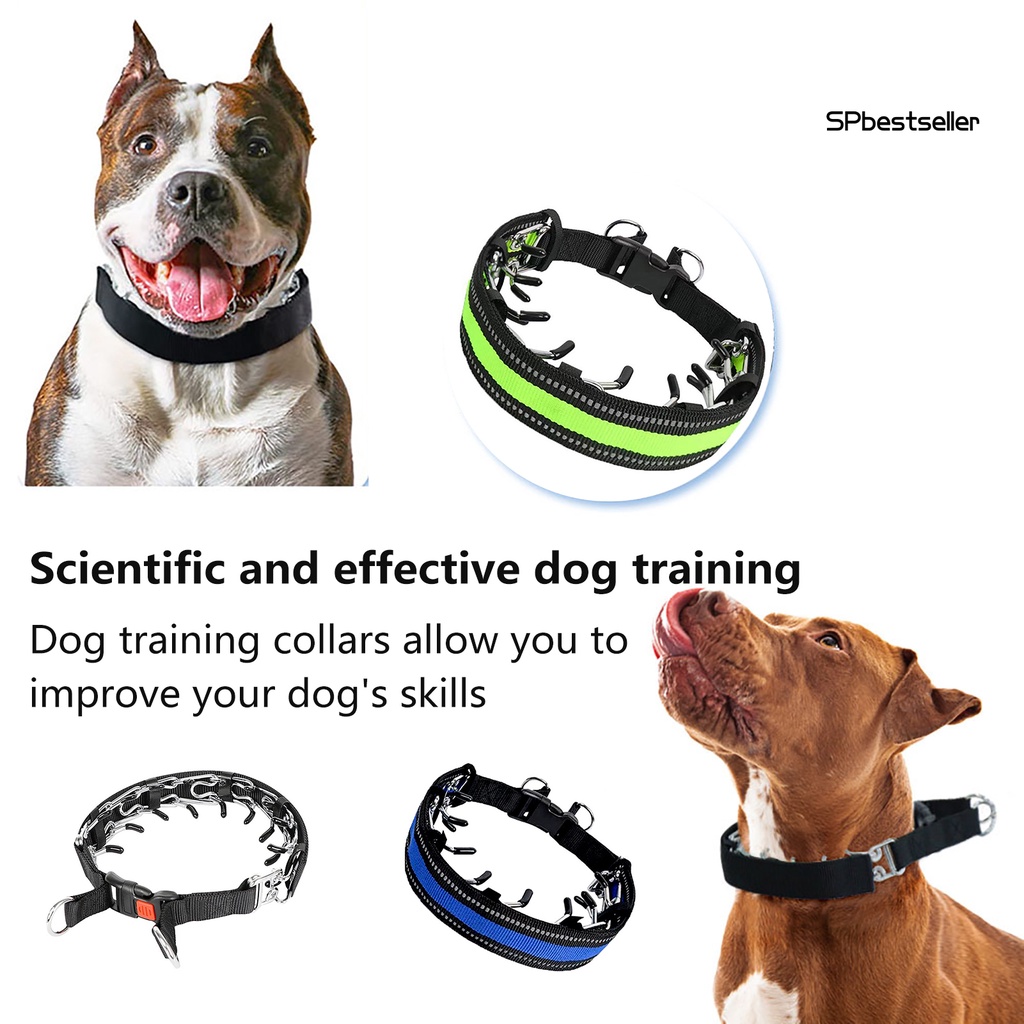 Canine training collars best sale