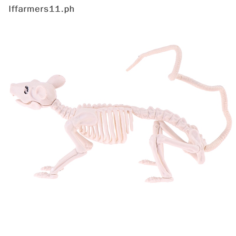 Iffarmers Halloween Decoration Plastic Skeleton Rat Decoration Animal