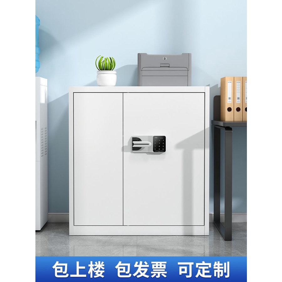 Password lock file electronic security iron low