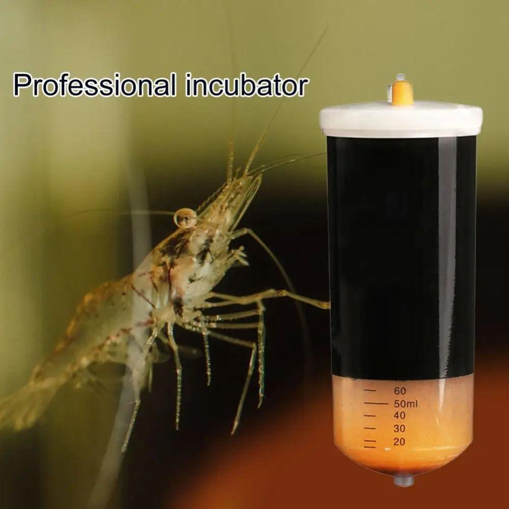 GIOVANNI1 Brine Shrimp Incubator, Professional Efficient Shrimp ...