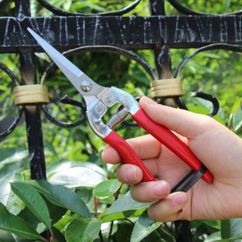 [ SHB Plant Pruning Scissors Garden Cutter Flower Branch Shears Hand ...