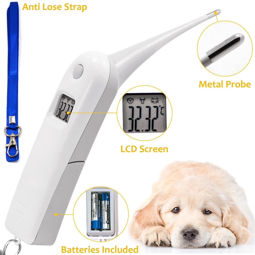 Pet Temperature Measurement Dog Temperature Measurement Fast Digital ...