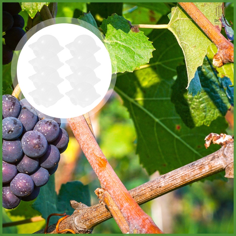 Air Layering Propagation Balls Plant Rooting Devices Plants Grafting