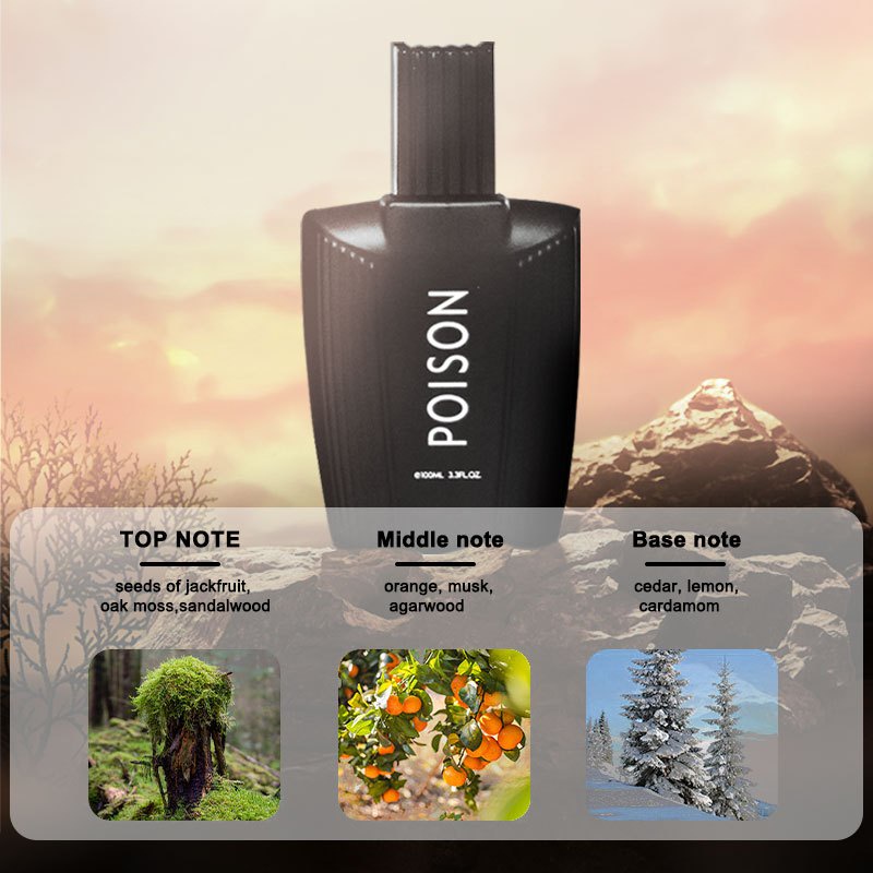 BUY 1 TAKE 1 POISON Perfume for Men Long Lasting Fragrance Eau De Parfum 100ML Shopee Philippines