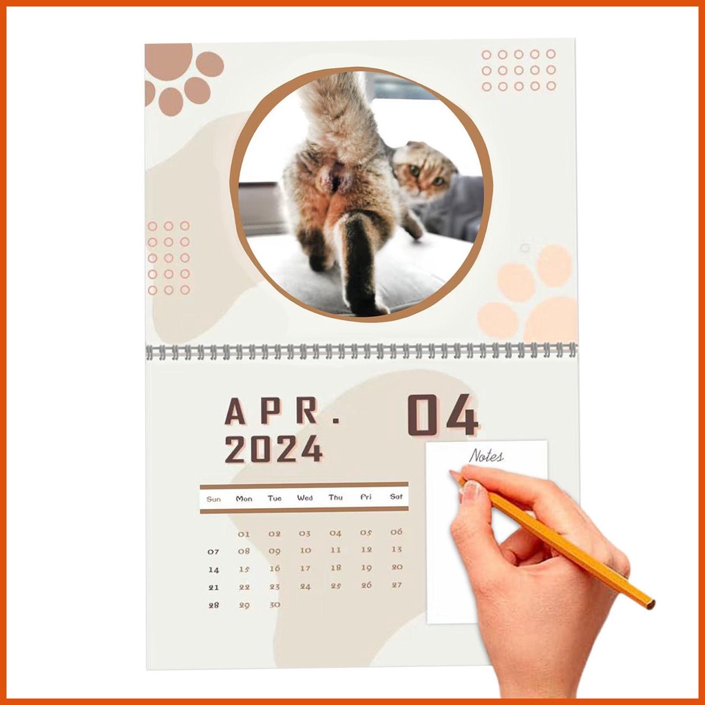 Cat Balls Calendar 2024 Hangable 12 Month Cat Calendar 2024 Funny Funny ...