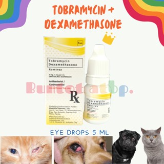 Neomycin polymyxin dexamethasone outlet eye drops for cats