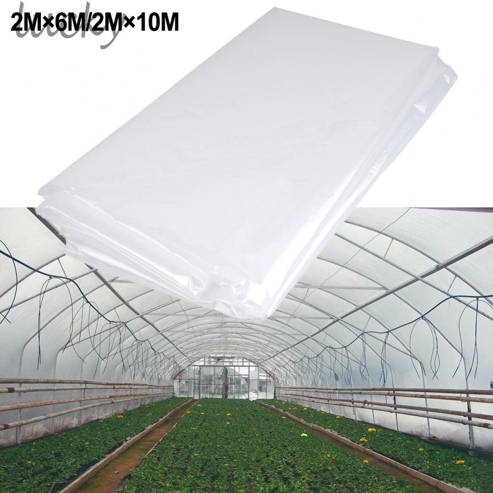 Clear Polythene Plastic Sheeting Garden DIY Material Cover For