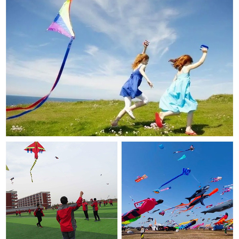 Spring Cartoon Simulation Butterfly Aircraft Kuromi Lotso Flying Kite ...