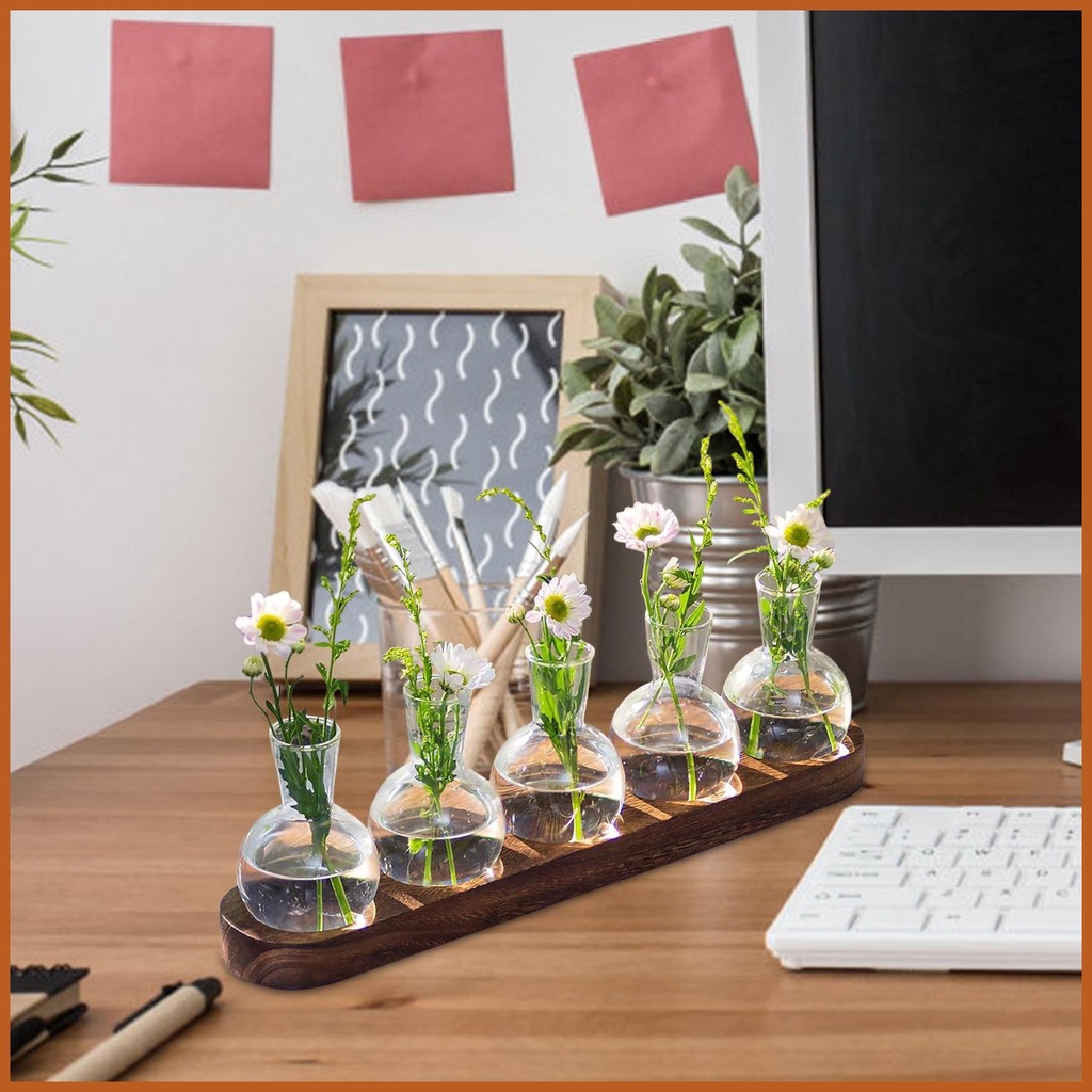 Plant Propagation Stand Hydroponic Vases for Indoor Plants Hydroponic