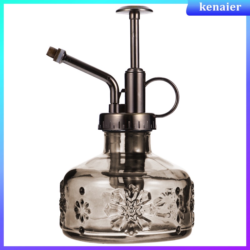 House Plant Mister Houseplant Watering Can Glass Decor Flowers Sprayer