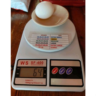 Egg Scale 