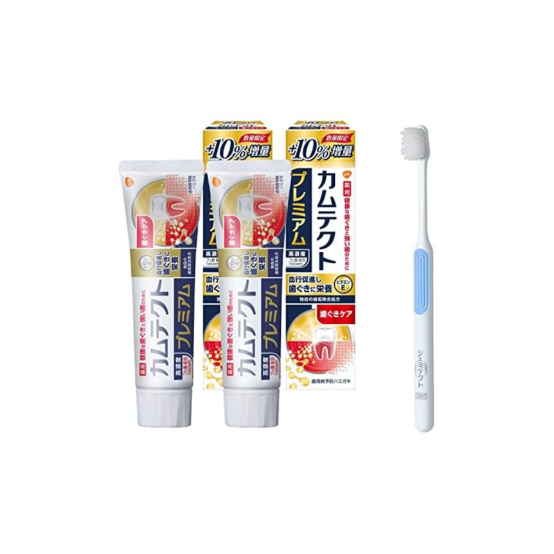 Direct from Japan Camtect Premium Gum Care [Quasidrug] Toothpaste