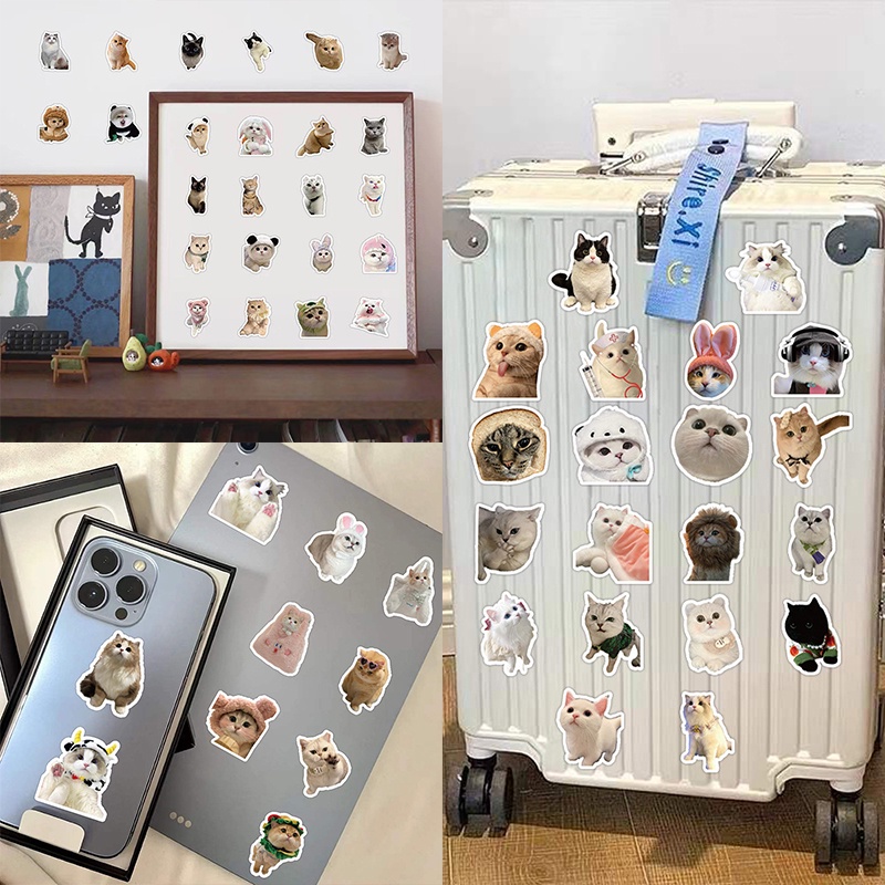 60PCS Cute Kittens Cats MEME Waterproof Stickers For Notebook Laptop ...
