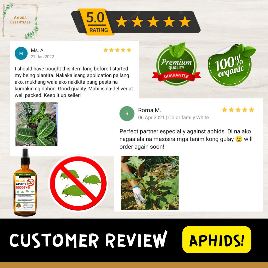 AMORA Essentials APHIDS Plant Spray Aphids, aphids control, aphids ...