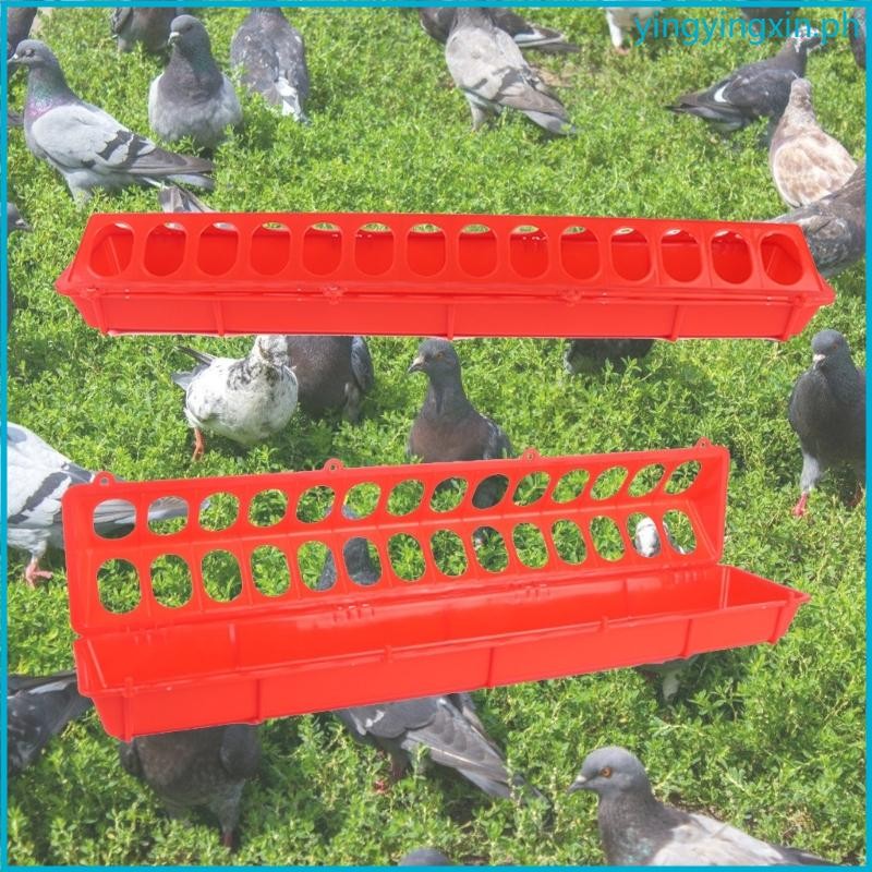 YIN Continuous Feed Dispenser Weatherproof Chicken Feeders Chicken ...