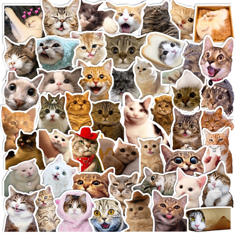 50pcs Cute Cat Stickers Funny Cat Meme Stickers Waterproof Kawaii Emoji ...