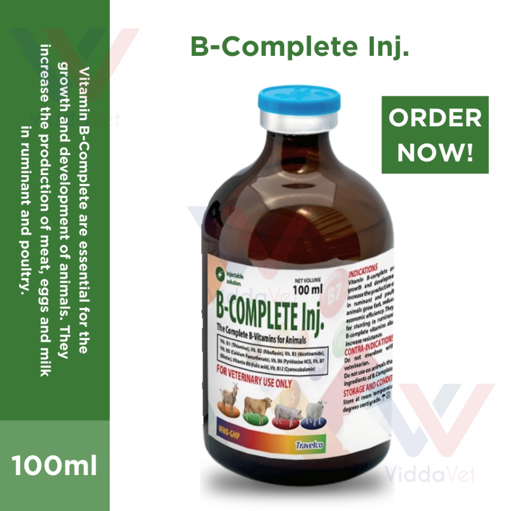 vitamin b complex complete vitamin v complex Viddavet Vitamin b complex