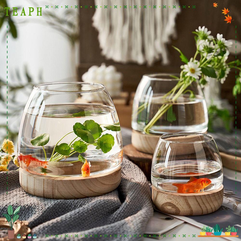 TEAPH Glass Fish Bowl Vases, with Wood Base Unique Hydroponic Plant