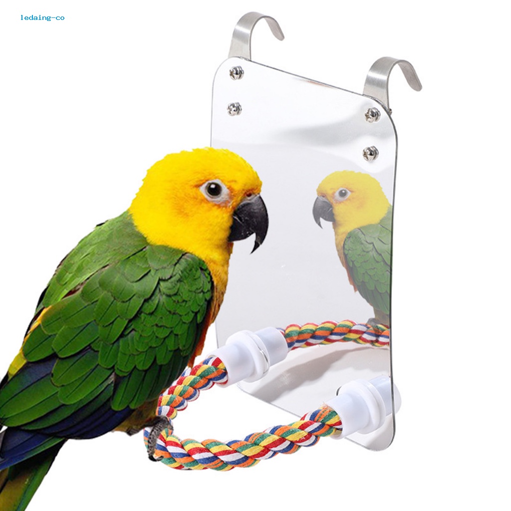 ledaing Parrot Toy for African Gray Parrots Exercise Toy for Parrots Vibrant Hanging Bird Mirror