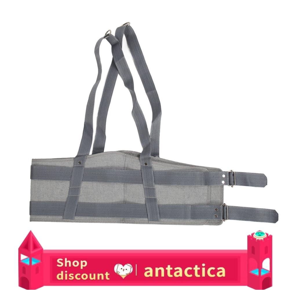 Antactica Lumbar Spine Support Belt Waist Protection Back Brace Pelvic