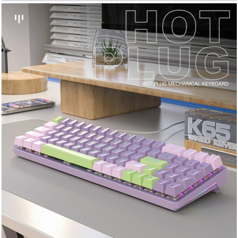 Jxck65 Gaming Wired 2m Hot Plug Waterproof Gaming Mechanical Keyboard ...