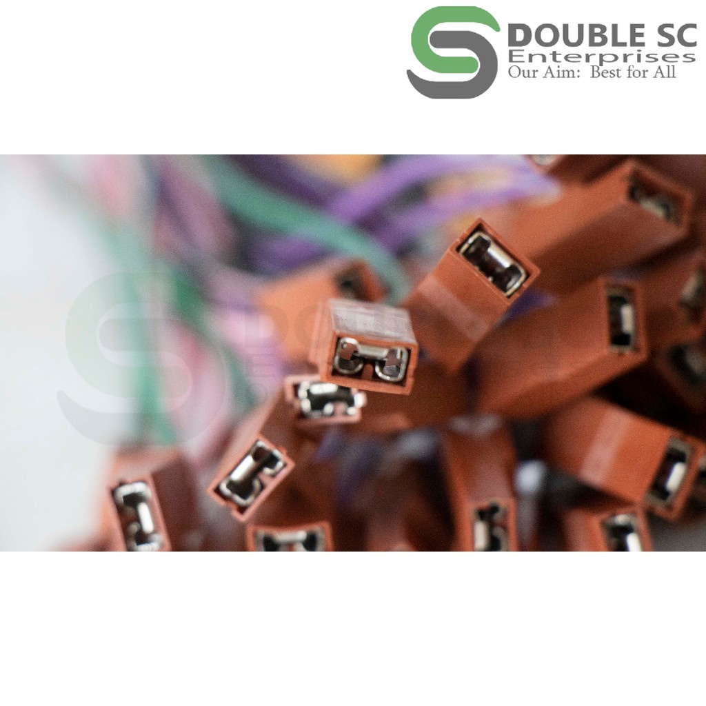 Horn Socket with Lock for motorcycle and Automotive/StarterWire Connector Female Terminal