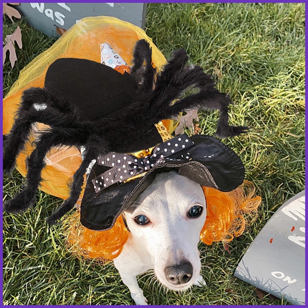 Spider Halloween Costume for Pet Fun Realistic Dogs Cats Cosplay Outfit