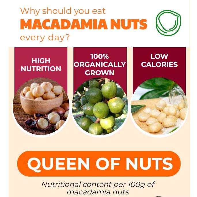 Green food macadamia nuts Macadamia nuts healthy rich macadammia nuts