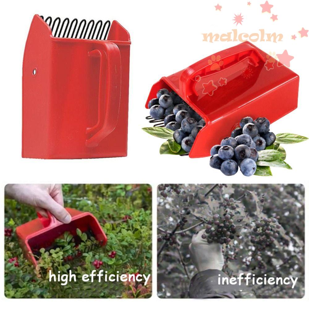MALCOLM Blueberry Picker, Picking Scoop Berry Pickers, Portable