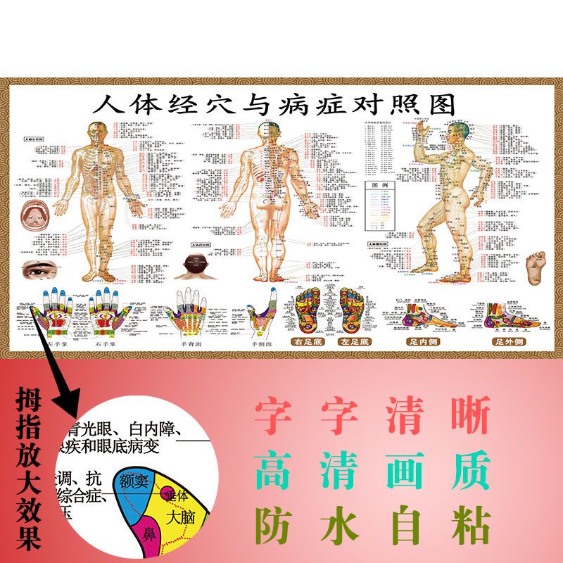 Human Acupoint Map Whole Body Map Traditional Chinese Medicine ...