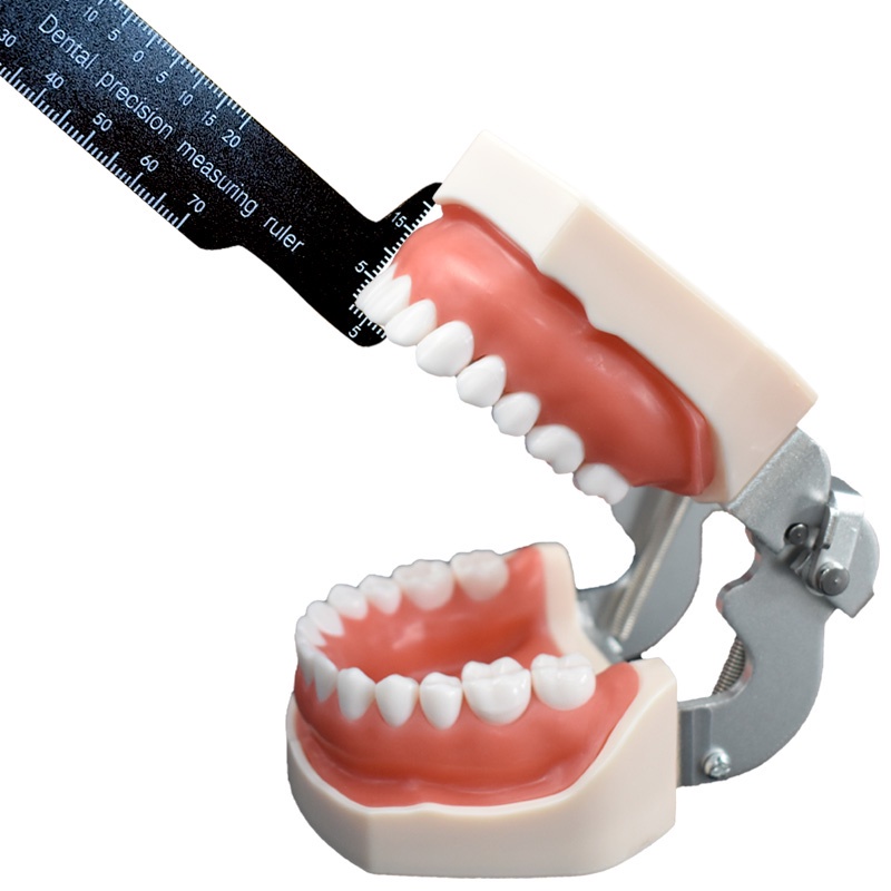 Tooth Ruler Dental Precision Measuring Ruler For Photography Tool ...