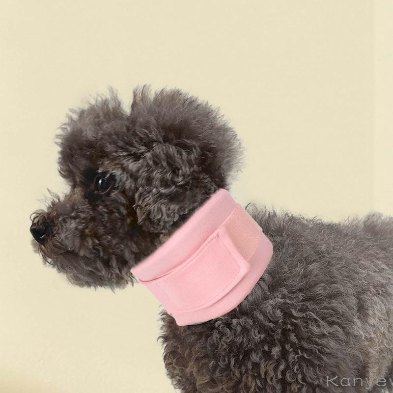 Canine neck brace best sale