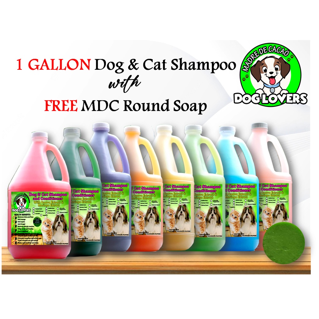 (1 GALLON ) DOG AND CAT SHAMPOO W/ CONDITIONER plus FREE SOAP Shopee