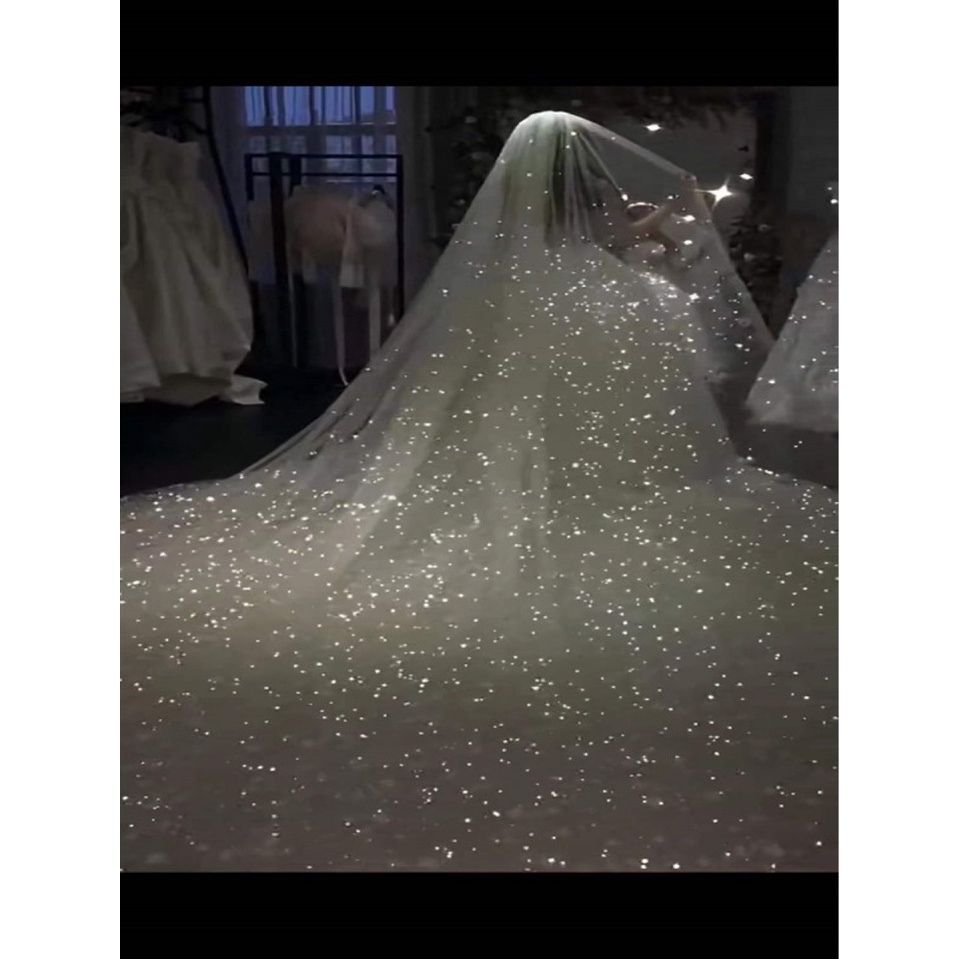 3.5 Meters Cathedral Wedding Veil Bling Bling Bridal Veils Soft Single ...