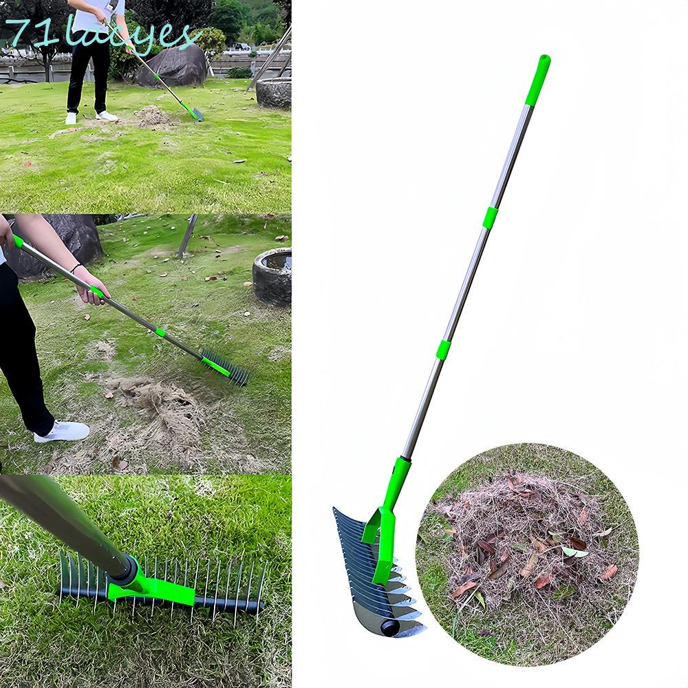 LACYES Thatch Rake, Descaling Hay Deciduous Grass Rakes, Durable with