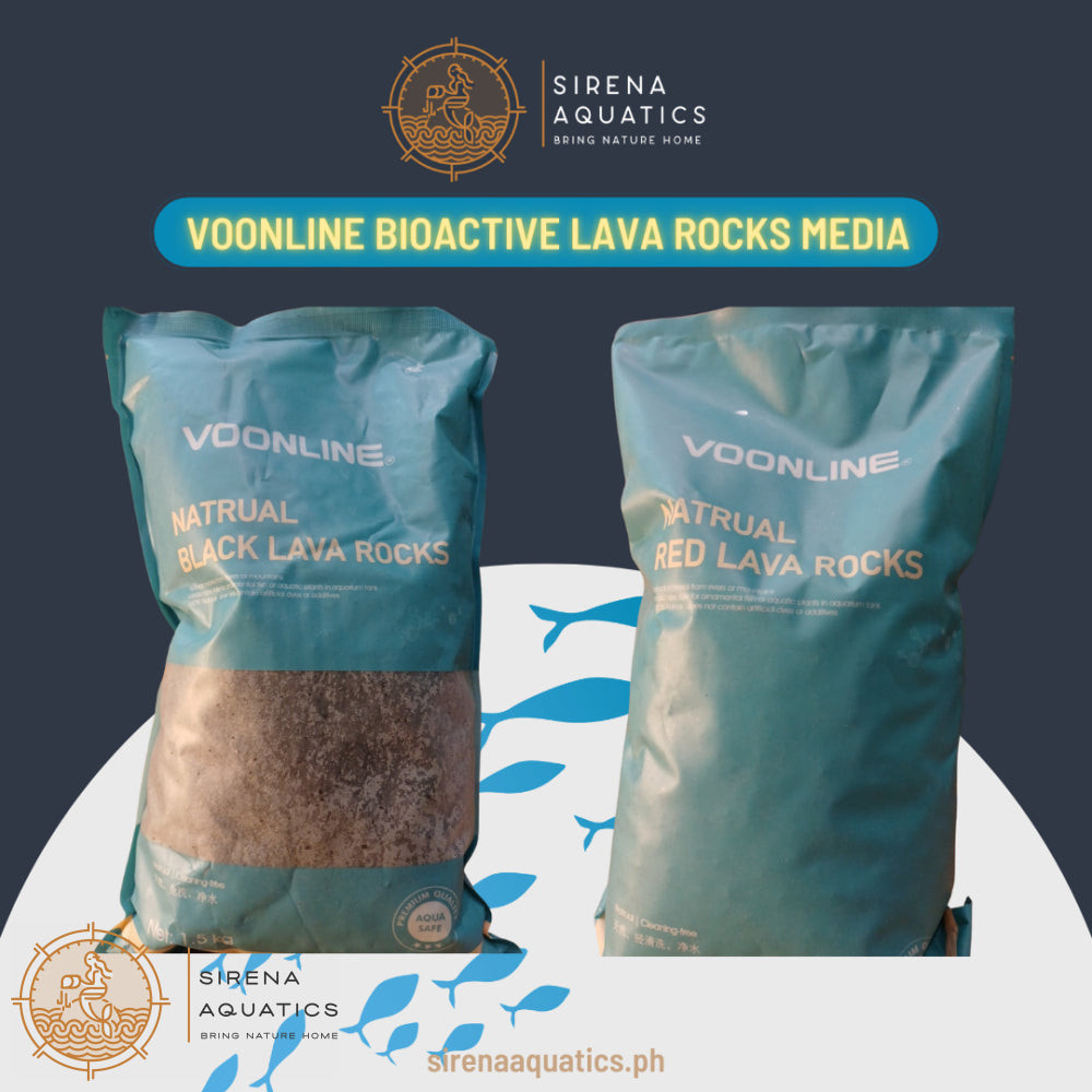 Voonline Bio-Active Lava Rocks - Natural Filter Media and Decorative ...