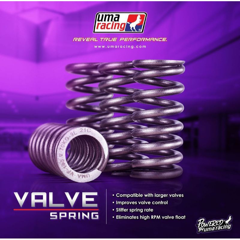 UMA RACING VALVE SPRING SET Y15 Y15ZR LC135 LC5S BELANG RS150 RSX VF3 ...