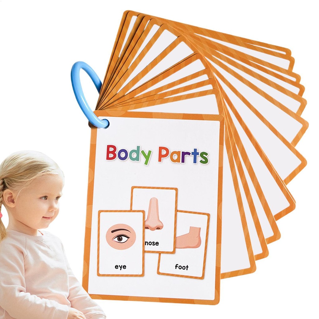 Body Parts Learning Flashcards English Body Parts Pocket Card 15Pieces ...