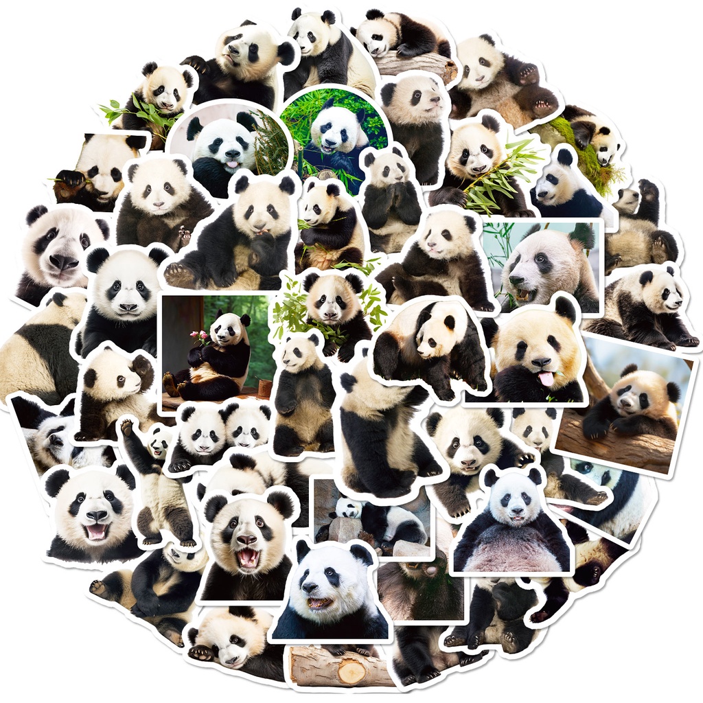50PCS Cute Realistic Giant Panda Graffiti Stickers For Helmet Bicycle ...
