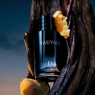 Dior 2025 sauvage rustans