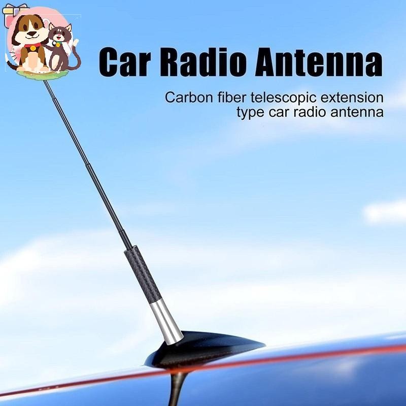 Car AM/FM Antenna, Radio Antenna, SUV Antenna, Car Stereo Radio Antenna ...