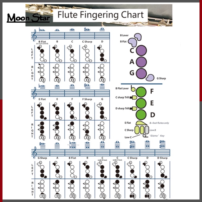 MO Flute Chord Chart Educational Chord Poster Finger Placement ...