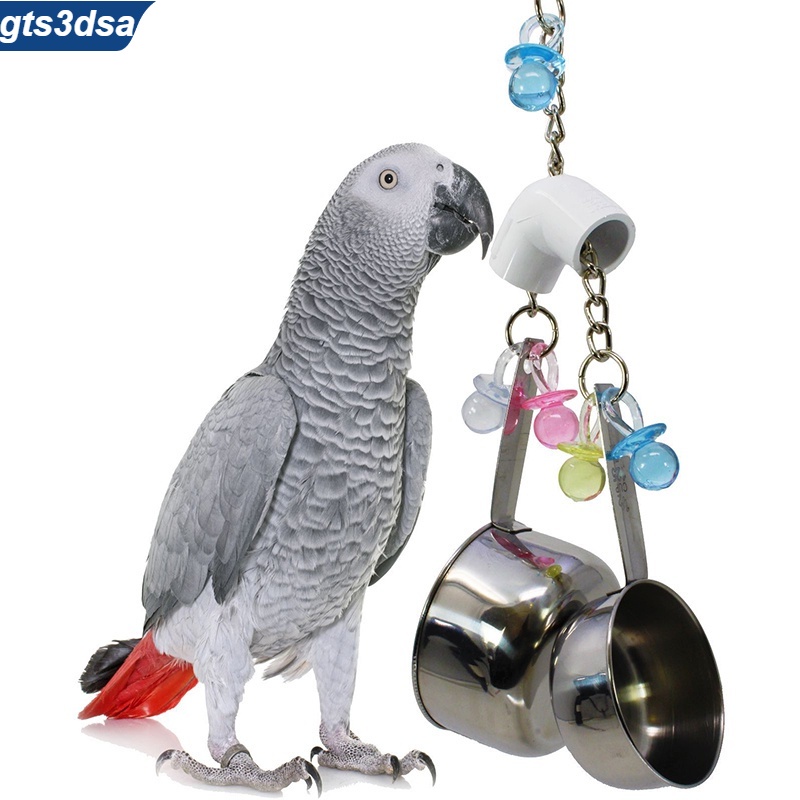 Stainless steel parrot sales toys